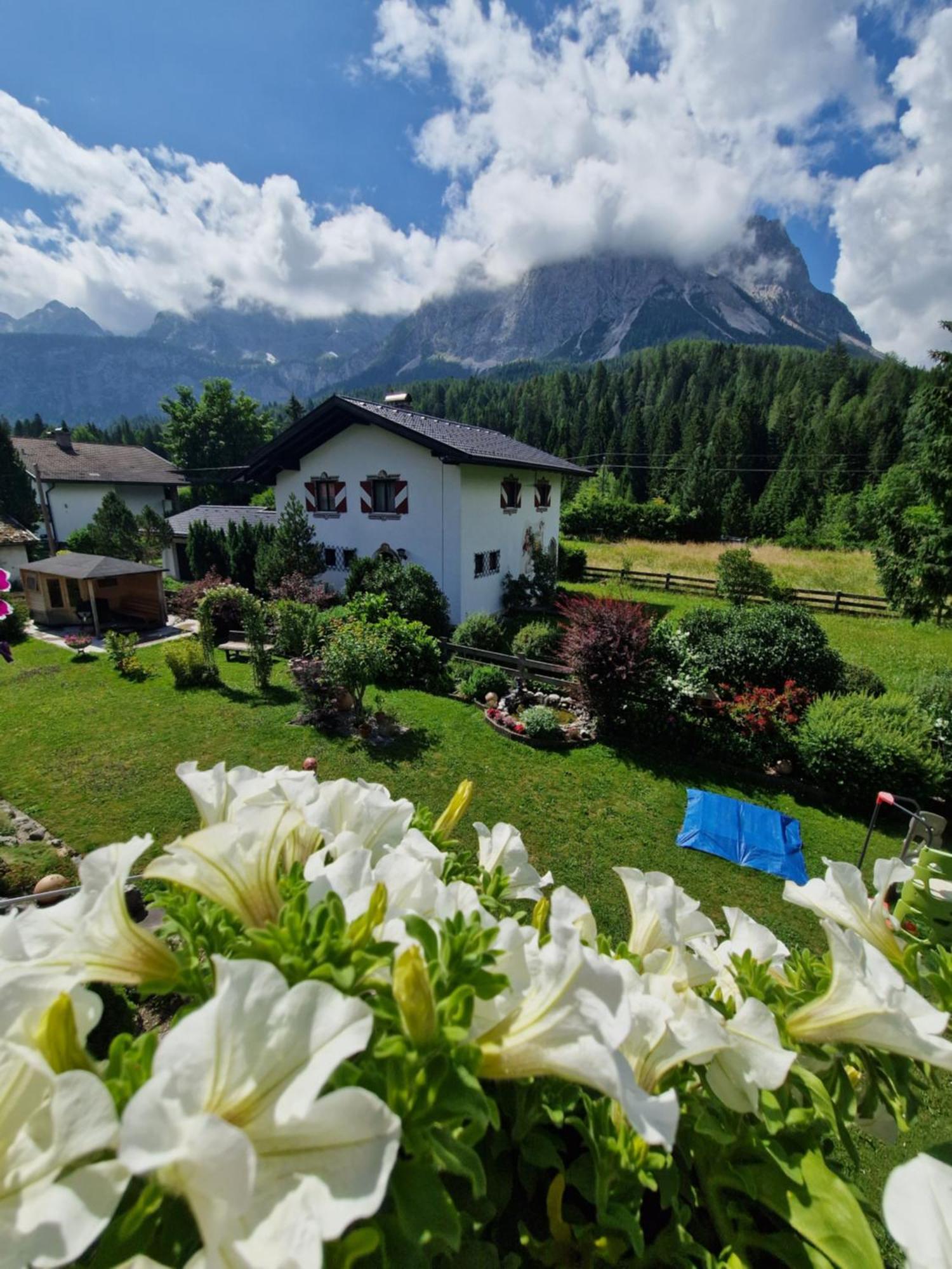 Gästehaus Schoeneweiß Ehrwald Exterior foto